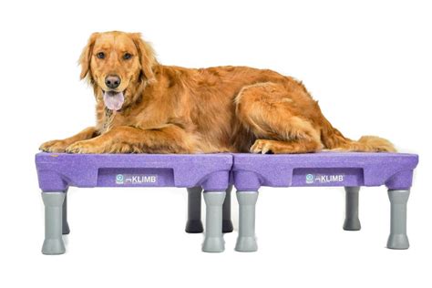 About The Klimb® Dog Training Platform Details Reviews And More Blue