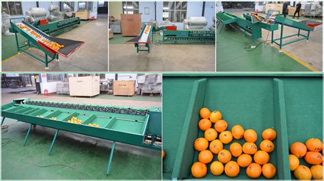 High Quality Automatic Fruit And Vegetable Sorting Machine China Fruit