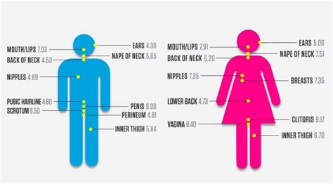 Les Zones érogènes Chez Lhomme Et La Femme 100 Masculin