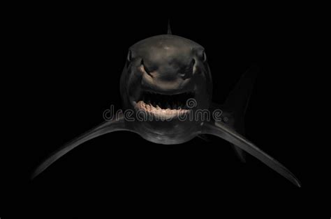 310 Angry Shark Stock Photos Free Royalty Free Stock Photos From