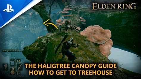 Elden Ring The Haligtree Canopy Guide How To Get To Treehouse Youtube