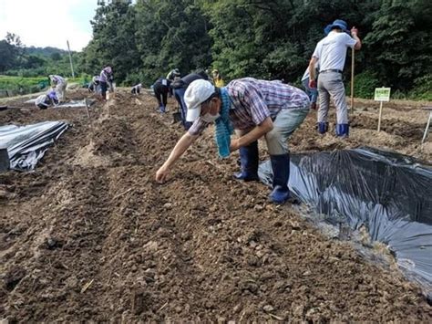 울산시농업기술센터 도시농부 양성 다양한 농업기술 교육 네이트 뉴스