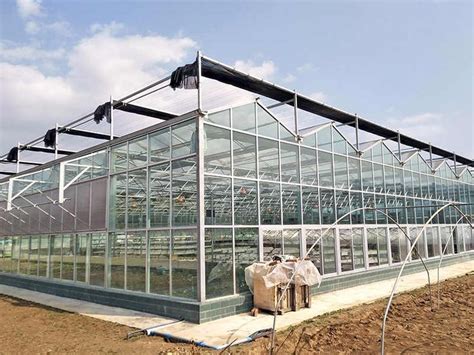 Choose Right Polycarbonate Sheet For Greenhouse | UVPLASTIC | Invernadero de policarbonato ...