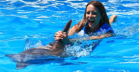 Schwimmen Mit Delfinen Interaktives Aquarium Cancun Getyourguide