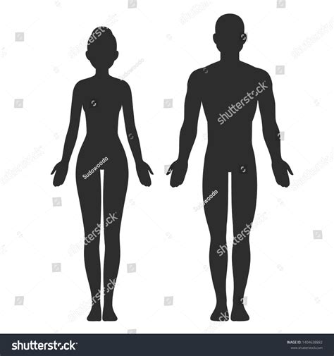 Male Female Body Silhouette Template Isolated Vetor Stock Livre De