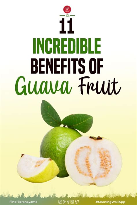 11 Incredible Benefits Of Guava Fruit Artofit