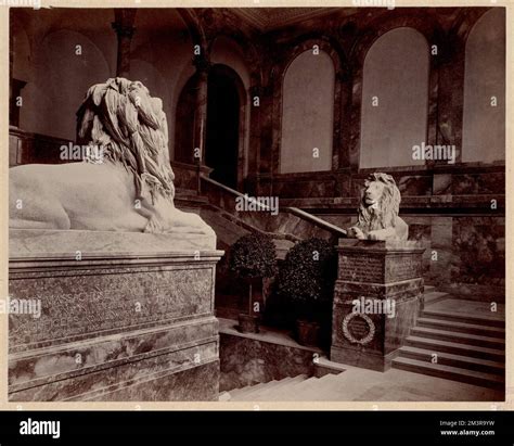 Saint Gaudens Lion Grand Staircase Construction Of The Mckim Building