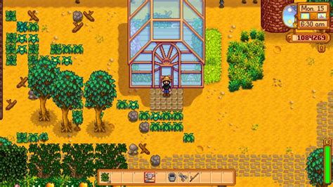 Stardew Valley How To Build The Perfect Greenhouse Layout Gamezo