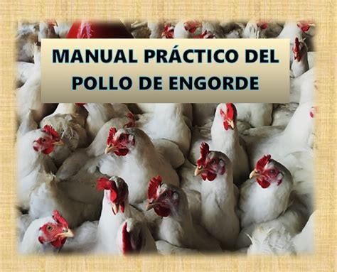 Manual Práctico Del Pollo De Engorde