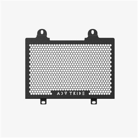 Radiator Guard For Bmw G310r By Adv Tribe