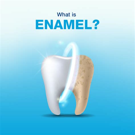 What Is Tooth Enamel Dentist Ladys Island Sc Beaufort Dentist Office