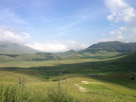 Marche Özhan Öztürk Makaleleri