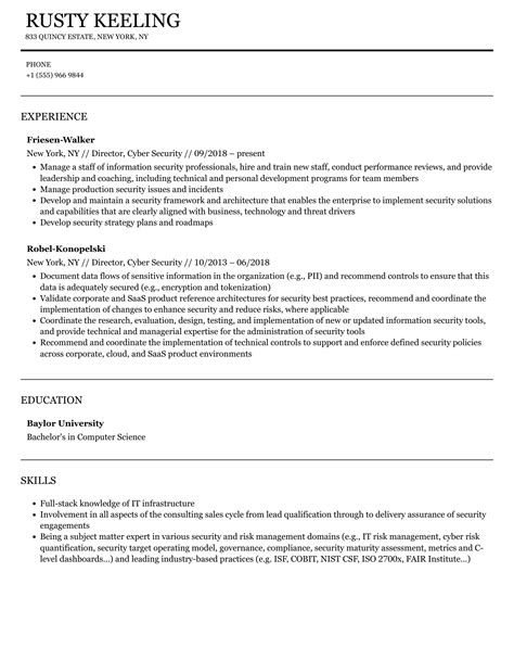 Director Cyber Security Resume Samples Velvet Jobs