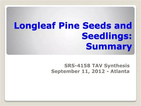 Ppt Longleaf Pine Seeds And Seedlings Summary Powerpoint