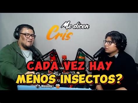 Cada Vez Hay Menos Insectos Me Dicen Cris Podcast Youtube