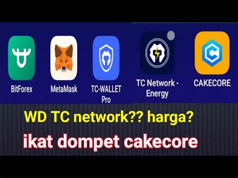 Tutorial Withdraw TT Coin Di TSC Scan Ikatkan Dompet Cake Core Di