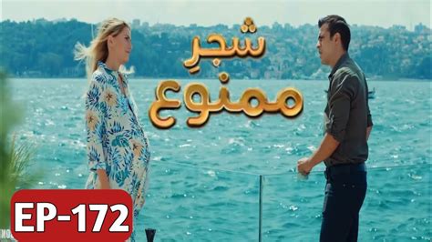 Shajar E Mamnu Episode Promo Turkish Drama Forbidden Fruit