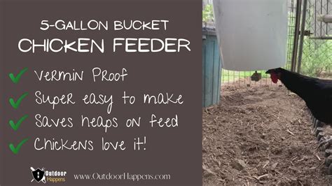 Our 5-Gallon Bucket Chicken Feeder Super Easy DIY And, 59% OFF