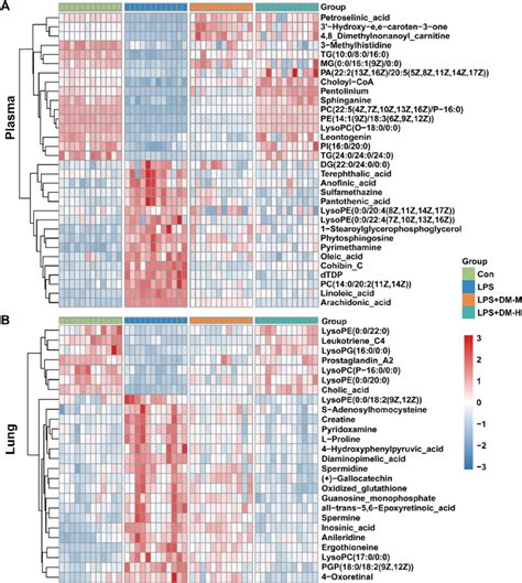 The Expression Of Differential Metabolites In Mouse Plasma A And Lung