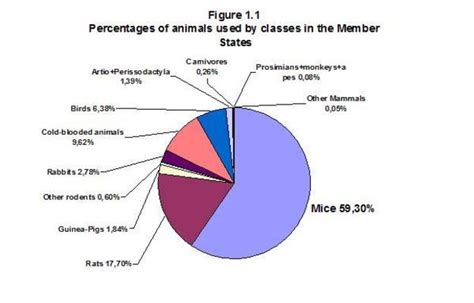 Eu Wide Animal Research Statistics 2008 Understanding Animal Research