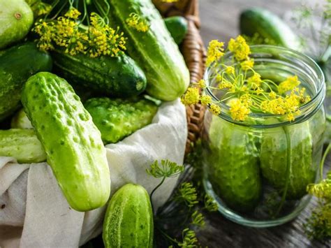 Domowe ogórki kiszone sprawdzony przez pokolenia przepis Oto jak