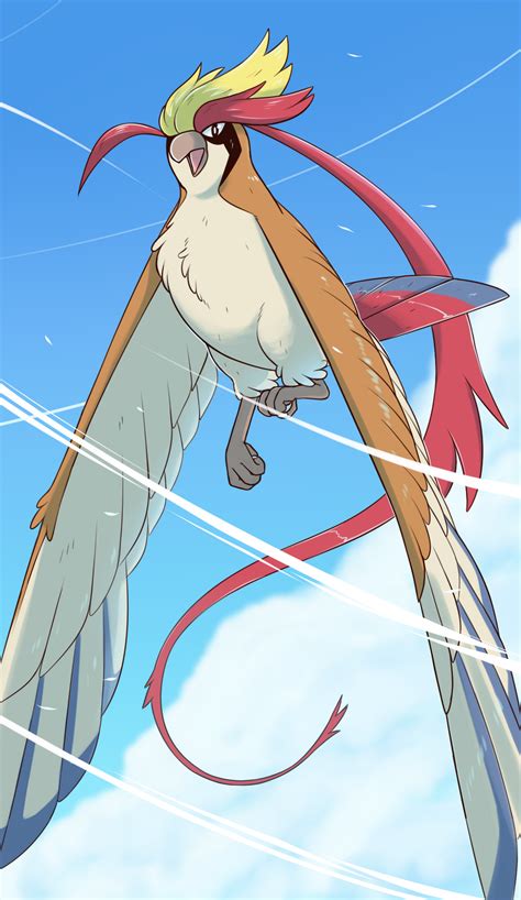 Mega Pidgeot!! by Henzypoo on DeviantArt