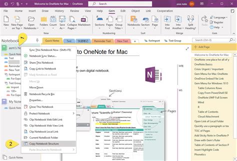 How To Transfer A Onenote Notebook From One Onedrive Account To Another Onedrive Account