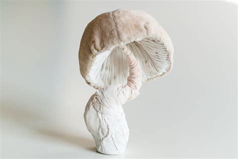 My Mushrooms Sculptures Textielart Behance