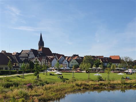 Weiherbistro Eppingen Eppingen Tourismus