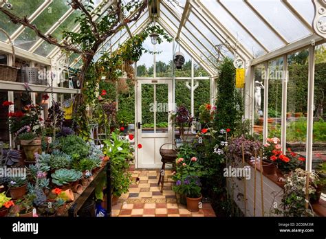 Interior view of a working greenhouse with traditional layout and tiled ...