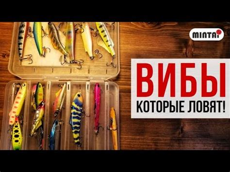 МОИ ВИБЫ на СУДАКА! - YouTube