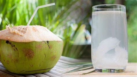 Minum Air Kelapa Saat Perut Kosong Di Pagi Hari Ini Yang Akan Terjadi