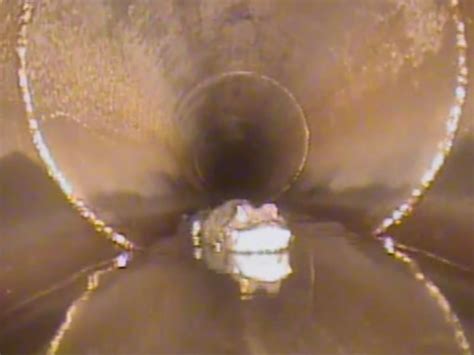 Gator Vs. Robot: Camera In FL Stormwater Drain Confuses 5-Foot Gator ...