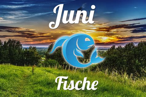 Horoskop Fische Juni 2022 Tarot Und Monatshoroskop