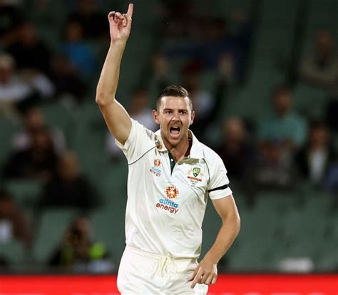 CSK pacer Josh Hazlewood pulls out of IPL - Rediff Cricket