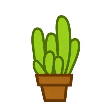 Cactus Vectoriales PNG Dibujos Cactus Dibujos Vector Dibujos Maceta