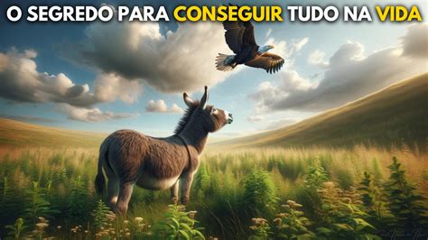 O Burro E A Guia Reflex O De Vida Youtube