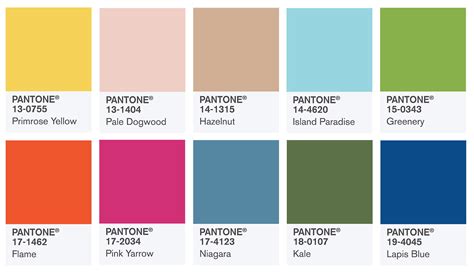 Pantone Renk Kataloğu Nedir ve Ne İçin Kullanılır Umutium