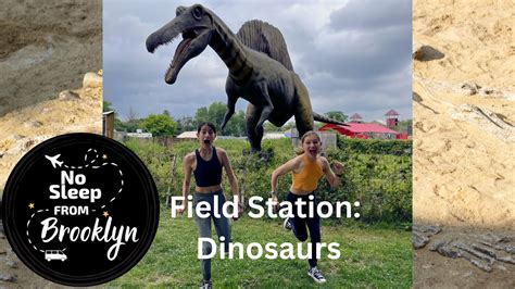 Field Station Dinosaurs Leonia Nj Dinosaur Park Youtube