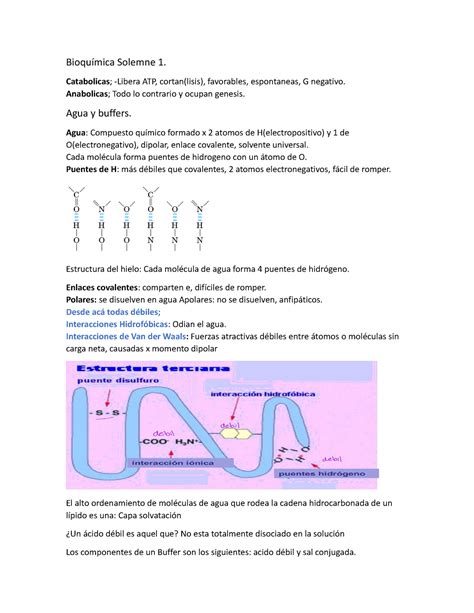 Bioquímica Solemne 1 bioq Bioquímica Solemne 1 Catabolicas