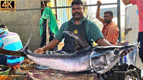 Kasimedu Speed Selvam Kg Biggest Kola Fish Cutting In Kasimedu