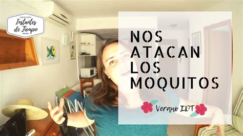 ¿cómo Evitar Que Te Piquen Los Mosquitos 🦟 Instantes De Tiempo Youtube