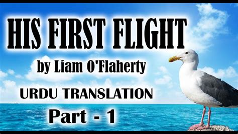 His First Flight By Liam O Flaherty Part L English Book Grade 11