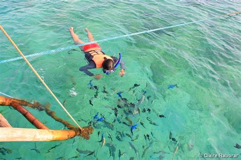 Looc Fish Sanctuary Unbelievable Experience With Nature Travel To The