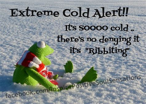 It S So Cold ~cute Funny Thoughts Greetings And Quotes Pinterest Funny Thoughts