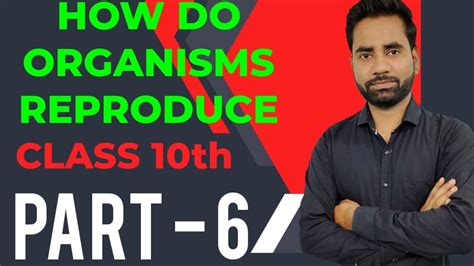 How Do Organisms Reproduce Class10 Cbse Ncet Fertilisation Youtube