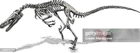 Deinonychus Fotografías E Imágenes De Stock Getty Images