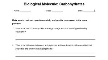 Biological Molecules Carbohydrate Worksheets And Homework Page TPT