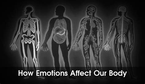 How Emotions Affect Our Body