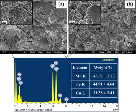 The FE SEM Images Of The Samples SPSed At A 1000C And B 1100C